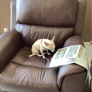 Meet your Posher, Michelle